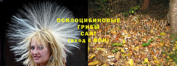 не бодяженный Краснотурьинск