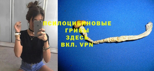 не бодяженный Краснотурьинск
