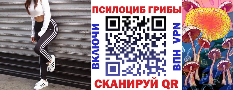 что такое   KRAKEN вход  Галлюциногенные грибы Cubensis  Альметьевск 