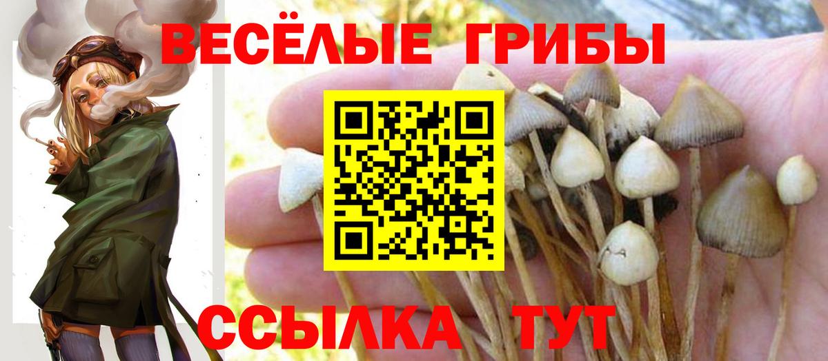 Альметьевск  Галлюциногенные грибы мицелий  Вход с VPN  Галлюциногенные грибы прущие грибы 
